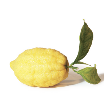 limone-costa-amalfi