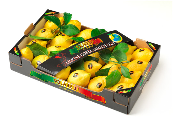 Limone Costa d'Amalfi Solarelli