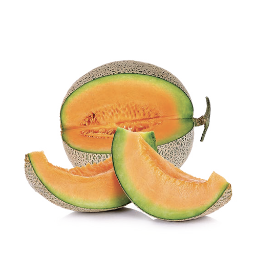 Melone retato