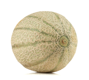 meloni retati con fetta Solarelli