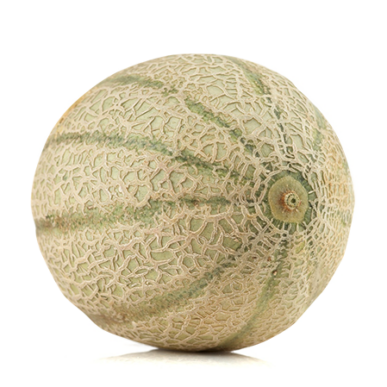 melone_retato_fetta_500x500pixel melone_retato_fetta_500x500pixel