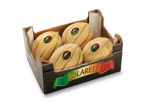 Melone retato con fetta Solarelli