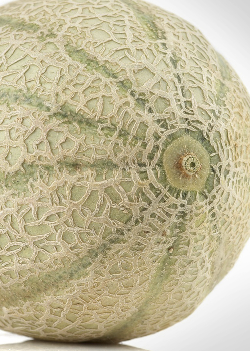 melone retato con fetta Solarelli