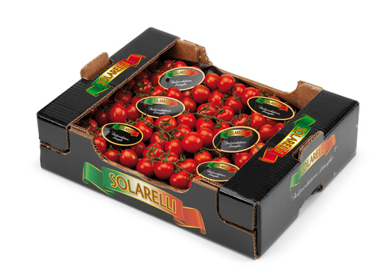 Pomodoro cherry Solarelli