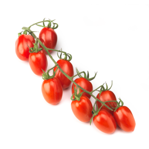 pomodoro confetto Solarelli