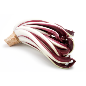 radicchio rosso di Treviso IGP Solarelli