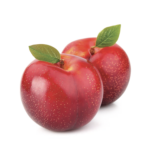 Susina rossa