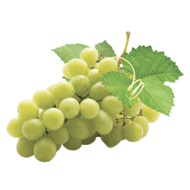 uva-senza-semi-bianca