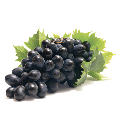 Uva Nera senza semi