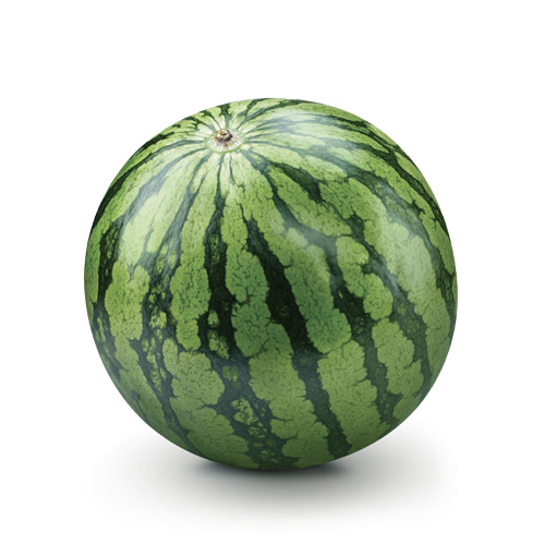 Mini Cocomero