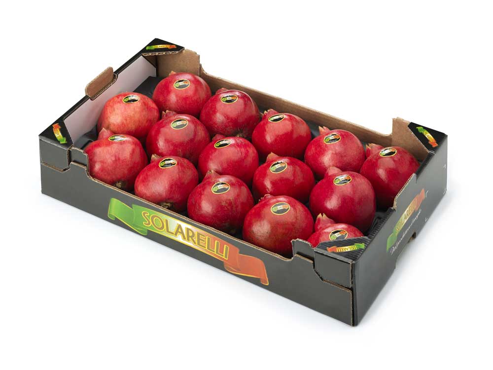 monostrato-in-alveolo-4-kg-melagrana