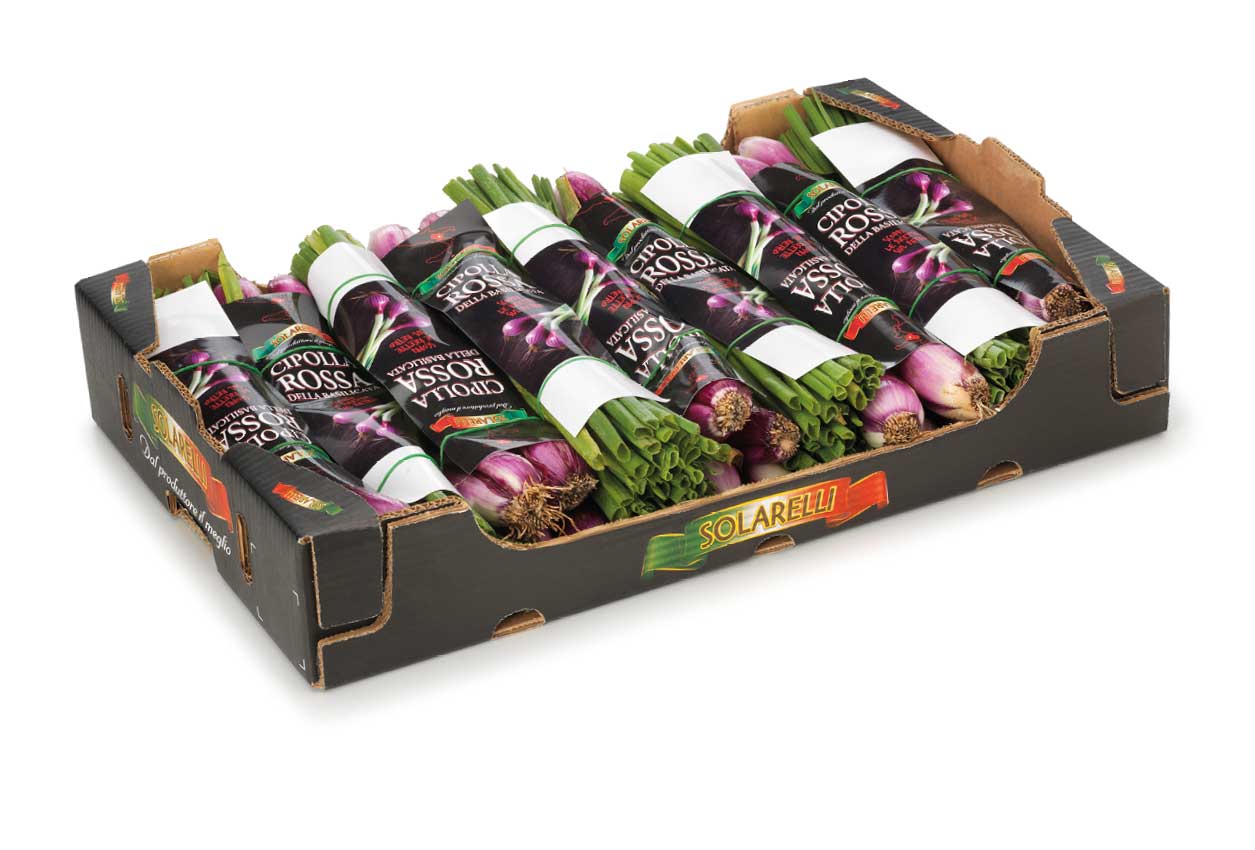 conf-cipollotto-4-5